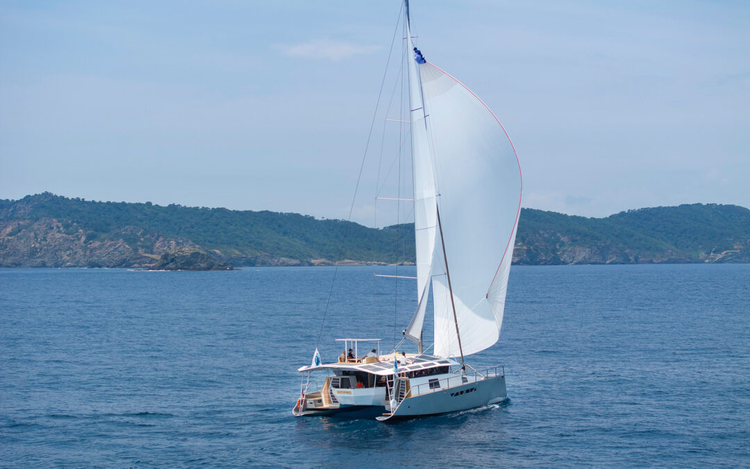 LE CATAMARAN